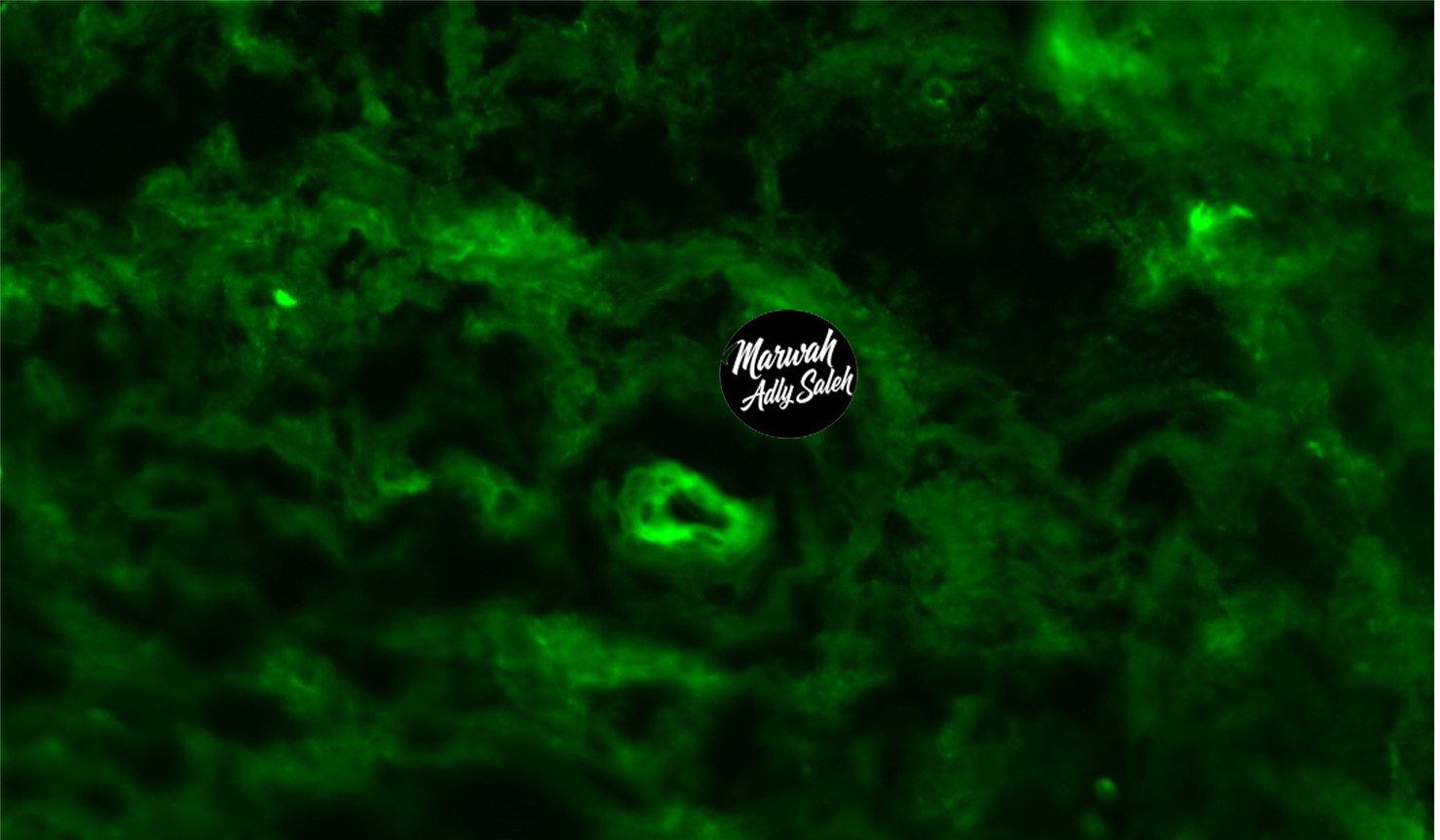 DIF Case 8 Image
